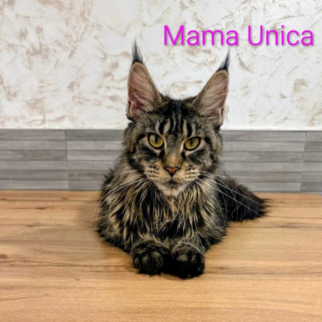 Única, madre de la camada